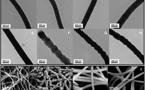 Nano Lett.:无定形纳米涂层有助于提升氧化物纳米纤维的性能