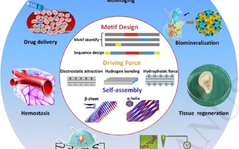 材料前沿最新综述精选(2017年12月第4周)