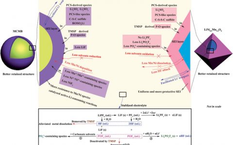 崔光磊团队Adv. Energy Mater.:电解液添加剂联用策略提升5V高电压锂离子电池的循环稳定性、倍率性能和阻燃性