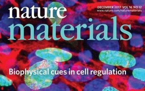 顶刊封面: 十一月材料领域优秀成果十大精选