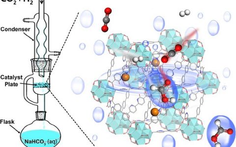 厦门大学JACS:MOF中铱复合物分子催化剂通过协同的质子-氢化物传递催化CO2加氢