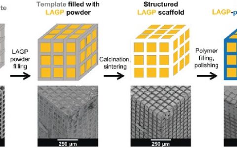 牛津Energ.Environ.Sci.:3D双连续相有序陶瓷聚合物微通道混合电解质用于全固态电池