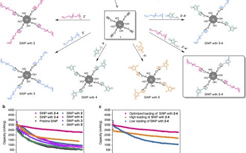 JACS: 点击化学界面修饰法提升锂离子电池合金型负极材料持久性