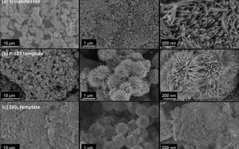 ACS Appl. Mat. Interfaces:无碳尖晶石NiCo2O4催化剂对碱性介质中双功能氧还原和进化的形态控制