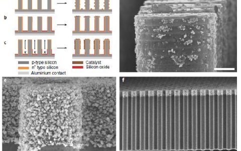 Nat. Energy :光吸收/催化位点空间分离的Ni-Mo负载高长径比硅微米线光阴极