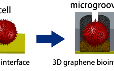 Biosensors and Bioelectronics:基于三维仿生界面的微流控芯片对癌细胞癌变过程的诊断