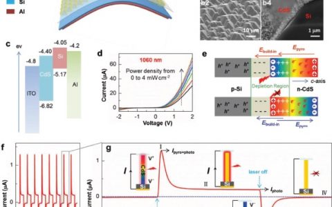 王中林Adv. Mater. :基于热释电光电子学效应的宽谱光探测(325-1550 nm)