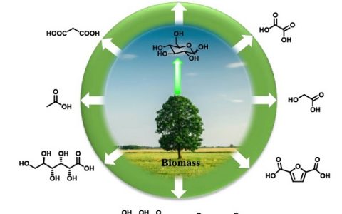 中南民大张泽会Chem. Soc. Rev.:催化碳水化合物转化为有机酸和呋喃化学品