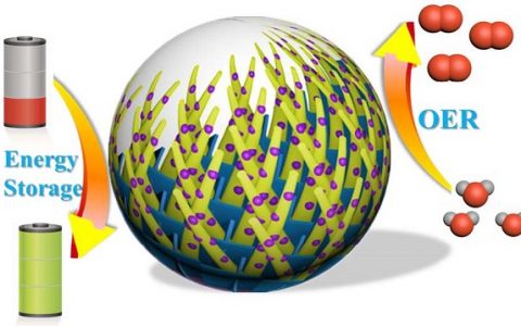 余颖Sci. Bull.:通过多维结构纳米复合材料的设计实现其在能源存储和电催化领域的应用