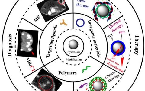 东华大学史向阳教授团队Chem. Soc. Rev.综述: 构建多功能化的四氧化三铁杂化纳米平台用于癌症的诊断和治疗