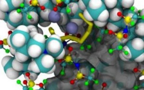 理论与实验结合建立一种新型聚合物锂硫电池