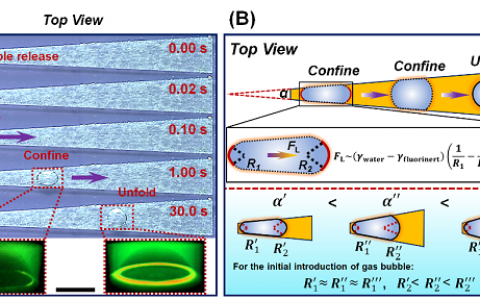 ACS Nano:“Slippery”形状梯度表面用于高压环境下的气泡的定向及连续输运