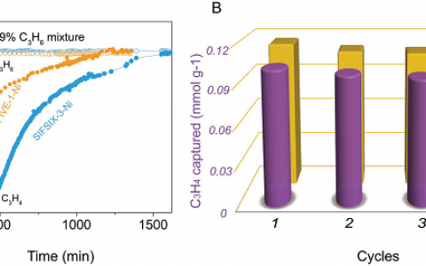 Adv. Mater.:单分子丙炔捕集阱--利用阴离子柱撑超微孔材料从丙烯中高效脱除丙炔