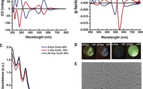 Science重磅:磁场调控手性磁性纳米颗粒和凝胶的光学活性