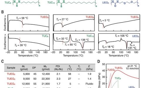 今日Science:氢键共价交联获得高机械强度,稳定可修复聚合物