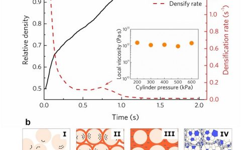 深圳大学刘志远团队Sci. Rep.:超快速超声振动压结制备块体纳米晶钛合金