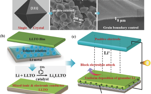 东华大学丁彬Adv. Mater.: 混合离子-电子导体用于锂金属负极保护