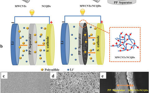 复旦大学夏永姚和王永刚Adv. Energy Mater.:具有协同保护作用的超轻MWCNTs/NCQDs改性隔膜用于高稳定锂硫电池