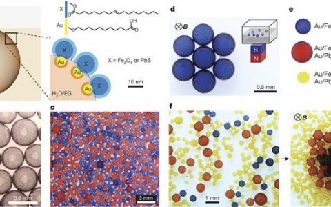 Nature重磅:多重响应表面活性剂作用构建“百变”液滴