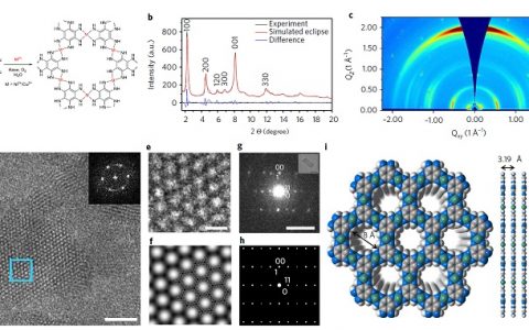 鲍哲南最新Nature Energy:坚韧导电的高体积和高面积容量二维MOFs材料