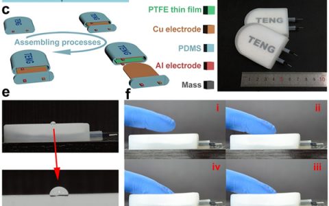 纳米能源所王中林院士Materials Today:基于仿生水母的摩擦纳米发电机可用于收集水波能量和自驱动传感