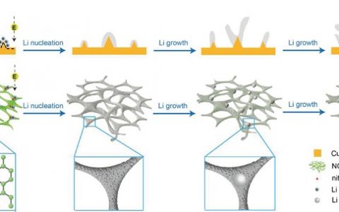 万立骏郭玉国Adv.Mater.:轻量级氮掺杂石墨碳海绵均匀成核生长金属锂用于锂金属电池负极