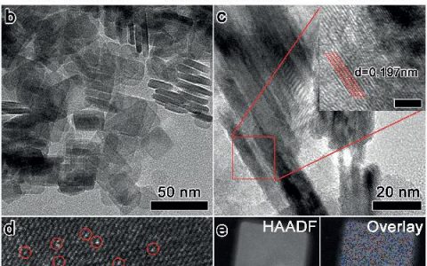 清华王定胜Adv. Mater. : 缺陷对于TiO2纳米片的影响——单原子位点金的稳定以及催化性能提升