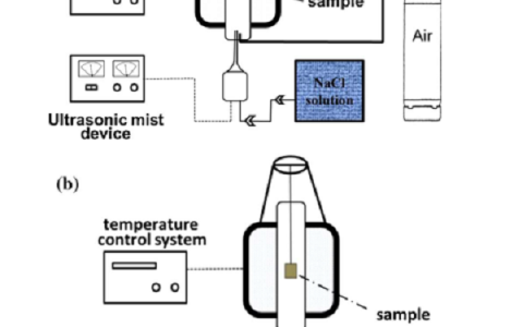 中科院金属所刘莉Corros. Sci.:Fe-20Cr合金在600℃ NaCl溶液中的腐蚀行为的研究