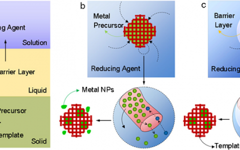 西交Nat. Commun.: 在贵金属纳米铸造上的突破性进展