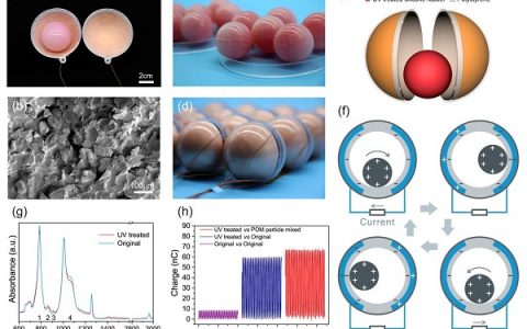 中科院北京纳米能源所王中林院士ACS Nano:耦合摩擦纳米发电机网络高效收集波浪能