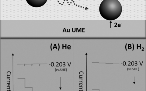 Angew. Chem. Int. Ed:基于单个Pt纳米颗粒碰撞电化学的析氢反应动力学研究