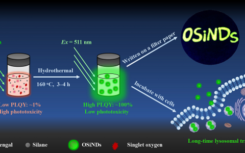 吴富根&陈战Nano Letters: 一种荧光量子产率高达100%的有机硅点及其在溶酶体特异性成像中的应用