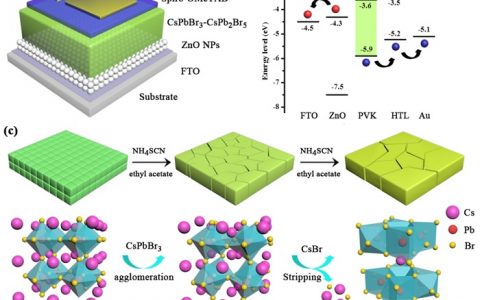 陕师大刘生忠教授课题组Appl. Mater. Interfaces. :低温普通环境制备稳定高效的无机CsPbBr3/CsPb2Br5钙钛矿太阳能电池