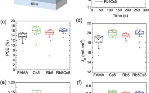 Adv. Energy Mater.: 铯和铷添加剂在钙钛矿太阳能电池中的作用
