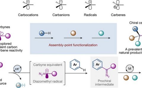 今日Nature:光催化碳炔类似物的生成及功能化