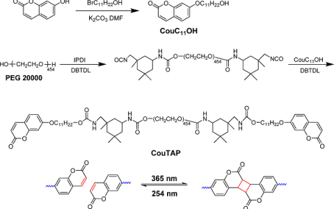 Macromolecules:香豆素端基二聚诱导的光敏遥爪聚集高分子在水溶液中的异常瞬态网络和流变行为