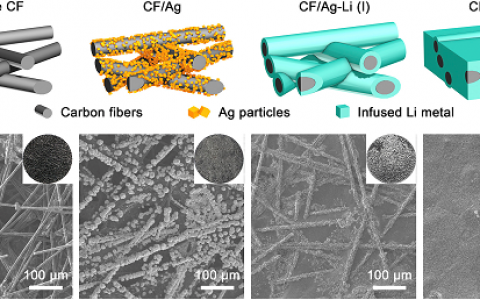 清华大学张强Joule:珊瑚状碳纤维熔融灌锂的复合锂金属负极