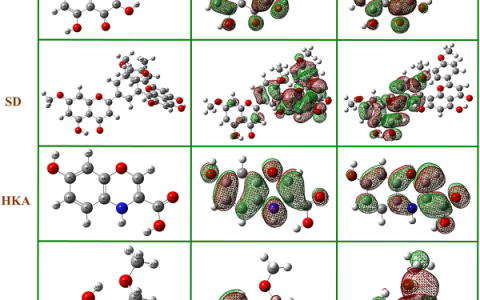 重庆大学张胜涛教授Corros. Sci.:银杏叶提取剂——X70钢在盐酸中的有效缓蚀剂
