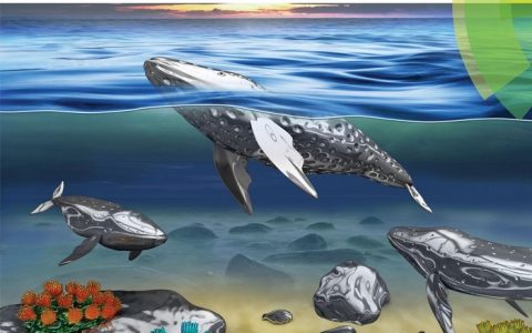 Materials Horizons 封面文章报道清华大学多孔液态金属柔性材料新成果