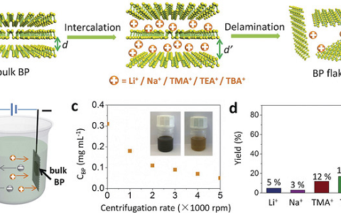 冯新亮Angew. Chem. Int. Ed.:带你了解神秘的黑鳞——新型光电子材料