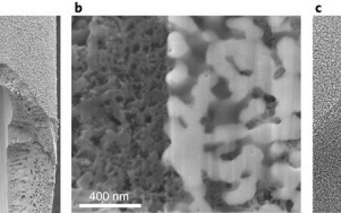 Nat. Nanotech.:纳米多孔碳纤维复合膜通过界面筛分效应实现高通量盐水脱盐
