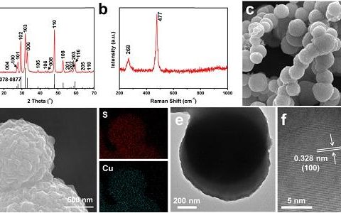 武理麦立强&安琴友Nano Energy : CuS正极储镁性能和机理