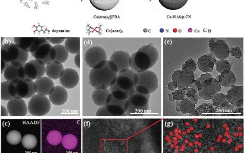Adv. Mater. : 聚合物封装策略制备多孔氮掺杂碳纳米球负载的孤立单原子位点(ISAS) 金属催化剂