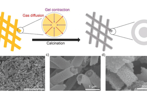 浙江大学Adv. Funct. Mater.:一维管/线结构SnO2高选择性电催化还原CO2