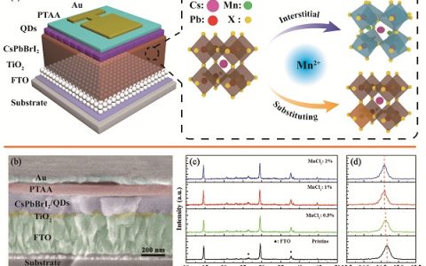 陕师大刘生忠教授课题组ACS Energy Lett.: 通过间隙掺杂Mn离子得到破纪录的13.47%效率的无机钙钛矿太阳能电池
