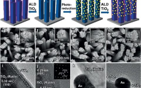 天大巩金龙Angew. Chem. Int. Ed. : 等离子体增强TiO2光电极表面氧空位增强光催化固氮活性