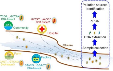 天津大学仰大勇团队EST:DNA示踪系统在水环境保护中的应用