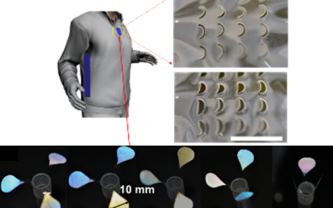 可用于体表湿热管理的智能材料:基于纳米通道的自适应气体致动薄膜