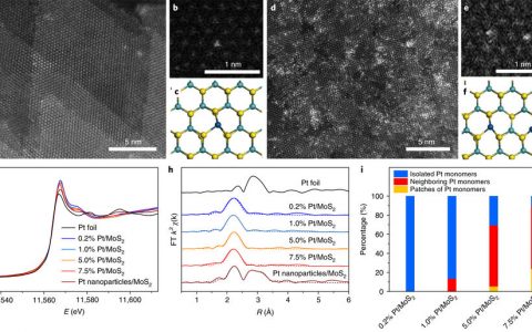 中科大Nature Nanotechnology : 二氧化碳加氢过程中近邻Pt单原子间协同作用