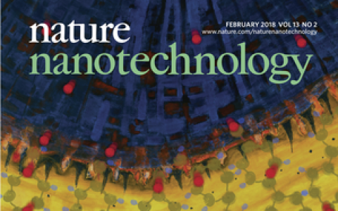 顶刊封面: 二月材料领域优秀成果十大精选